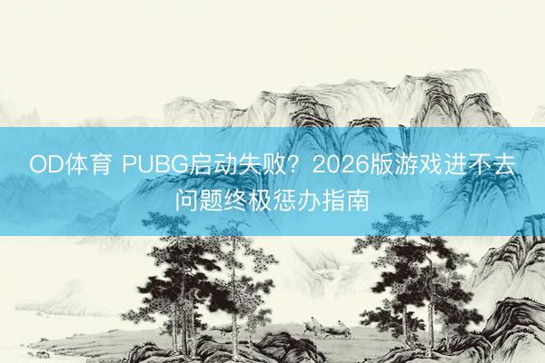 OD体育 PUBG启动失败?2026版游戏进不去问题终极惩办指南