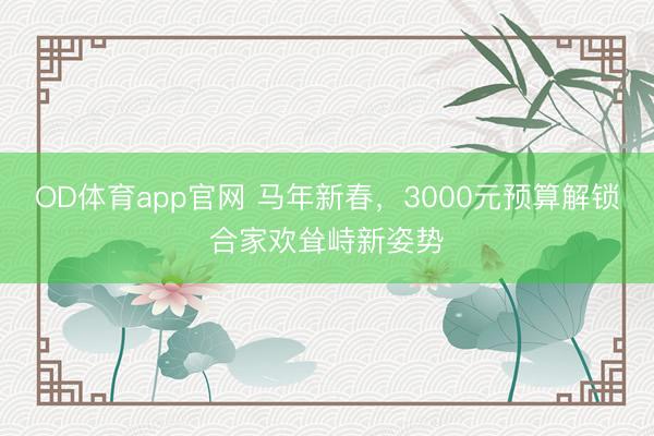 OD体育app官网 马年新春，3000元预算解锁合家欢耸峙新姿势