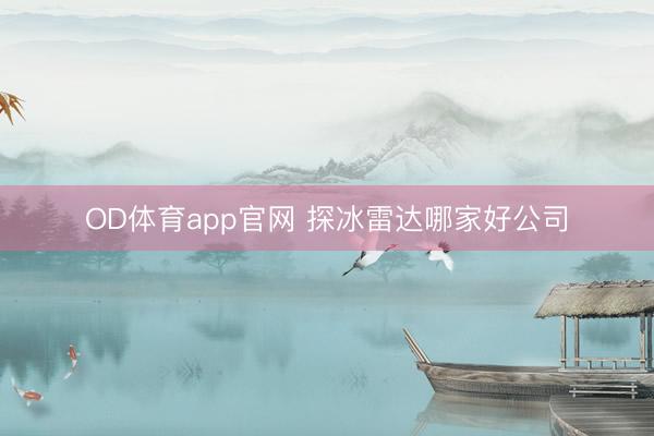 OD体育app官网 探冰雷达哪家好公司