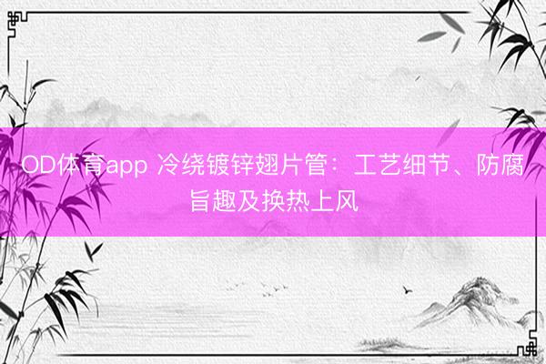 OD体育app 冷绕镀锌翅片管：工艺细节、防腐旨趣及换热上风