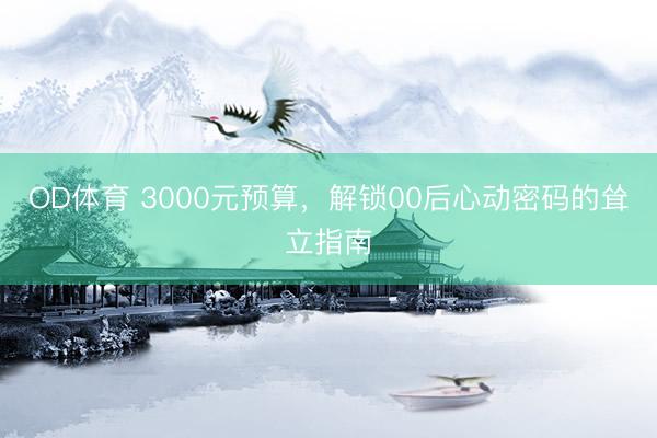 OD体育 3000元预算，解锁00后心动密码的耸立指南