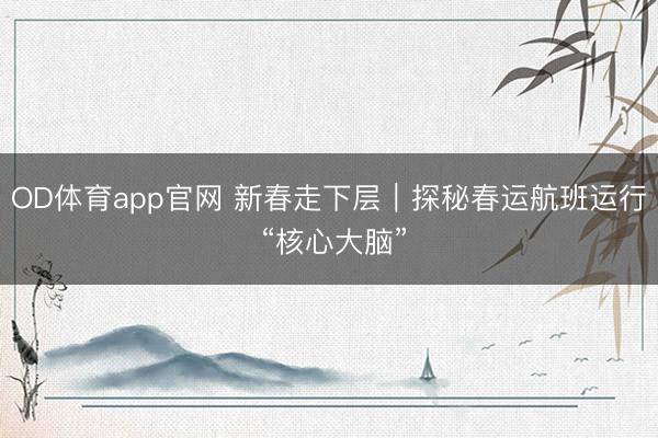 OD体育app官网 新春走下层|探秘春运航班运行 “核心大脑”