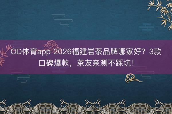 OD体育app 2026福建岩茶品牌哪家好？3款口碑爆款，茶友亲测不踩坑！