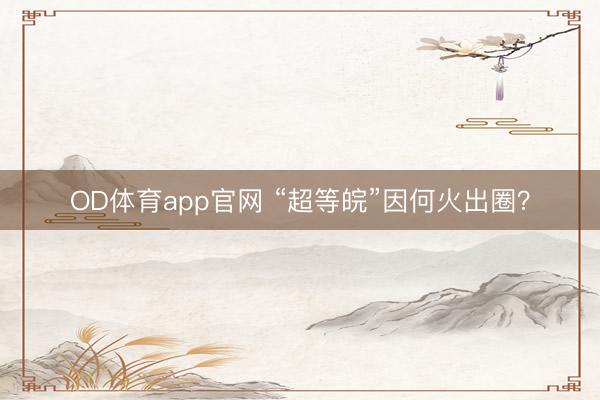 OD体育app官网 “超等皖”因何火出圈？