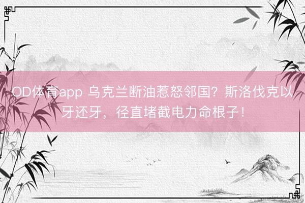 OD体育app 乌克兰断油惹怒邻国？斯洛伐克以牙还牙，径直堵截电力命根子！